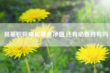 易基积极成长基金净值,还有必要持有吗