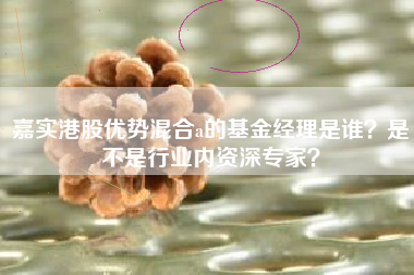 嘉实港股优势混合a的基金经理是谁？是不是行业内资深专家？
