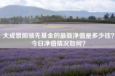 大成景阳领先基金的最新净值是多少钱？今日净值情况如何？
