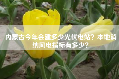 内蒙古今年会建多少光伏电站？本地消纳风电指标有多少？