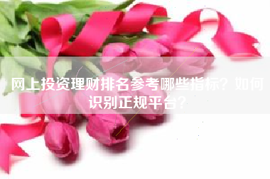 网上投资理财排名参考哪些指标？如何识别正规平台？