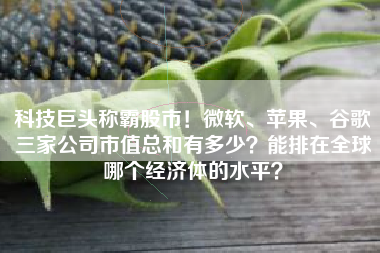 科技巨头称霸股市！微软、苹果、谷歌三家公司市值总和有多少？能排在全球哪个经济体的水平？