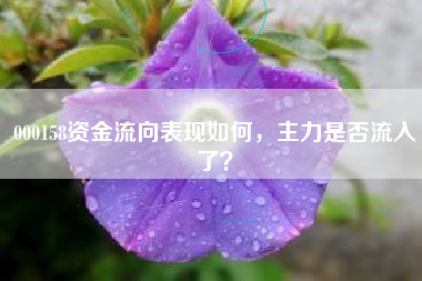 000158资金流向表现如何，主力是否流入了？