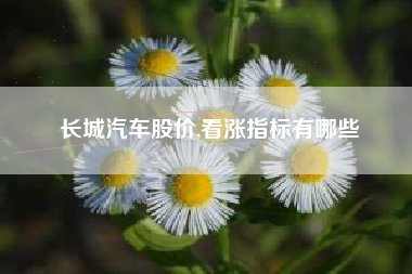 长城汽车股价,看涨指标有哪些