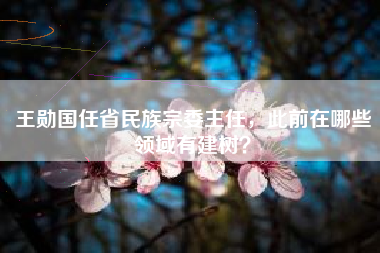 王勋国任省民族宗委主任，此前在哪些领域有建树？