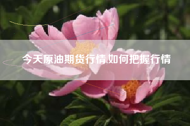 今天原油期货行情,如何把握行情