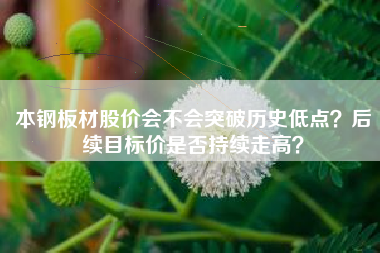 本钢板材股价会不会突破历史低点？后续目标价是否持续走高？