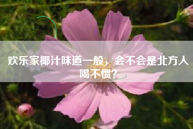 欢乐家椰汁味道一般，会不会是北方人喝不惯？