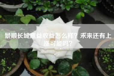 景顺长城鼎益收益怎么样？未来还有上涨可能吗？