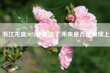 浙江龙盛2022要翻倍了,未来是否能继续上涨