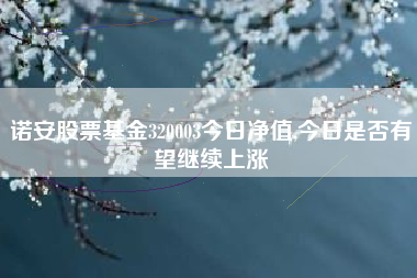 诺安股票基金320003今日净值,今日是否有望继续上涨