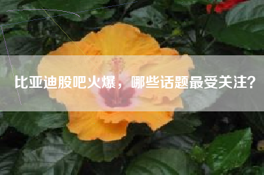 比亚迪股吧火爆，哪些话题最受关注？