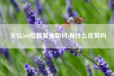 天弘500指数基金如何,有什么优势吗
