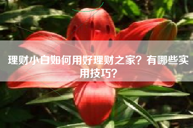 理财小白如何用好理财之家？有哪些实用技巧？
