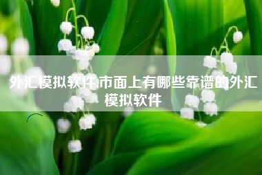 外汇模拟软件,市面上有哪些靠谱的外汇模拟软件