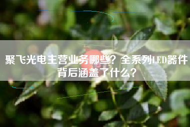 聚飞光电主营业务哪些？全系列LED器件背后涵盖了什么？
