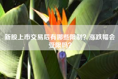 新股上市交易后有哪些限制？涨跌幅会受限吗？