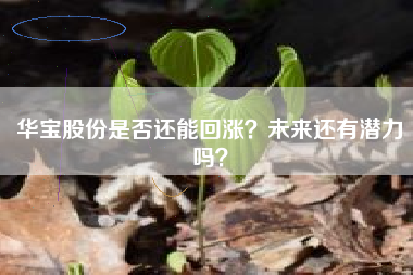 华宝股份是否还能回涨？未来还有潜力吗？