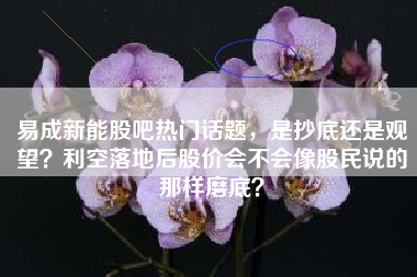 易成新能股吧热门话题，是抄底还是观望？利空落地后股价会不会像股民说的那样磨底？
