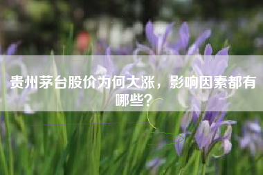 贵州茅台股价为何大涨，影响因素都有哪些？