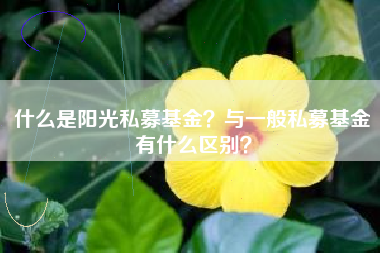 什么是阳光私募基金？与一般私募基金有什么区别？