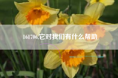 161706,它对我们有什么帮助