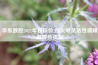 华东数控2022年目标价,对火电灵活性调峰有哪些贡献