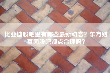 比亚迪股吧里有哪些最新动态？东方财富网股吧观点合理吗？