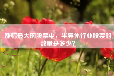涨幅最大的股票中，半导体行业股票的数量是多少？