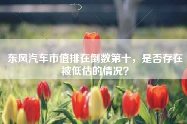东风汽车市值排在倒数第十，是否存在被低估的情况？