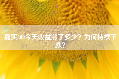 嘉实300今天收益涨了多少？为何持续下跌？