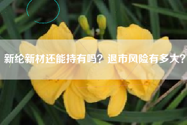 新纶新材还能持有吗？退市风险有多大？