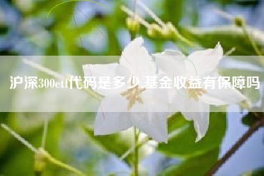 沪深300etf代码是多少,基金收益有保障吗