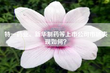 特一药业、新华制药等上市公司市场表现如何？