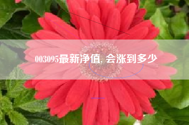 003095最新净值, 会涨到多少