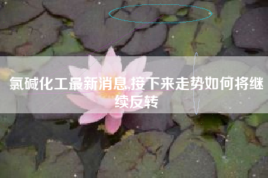 氯碱化工最新消息,接下来走势如何将继续反转