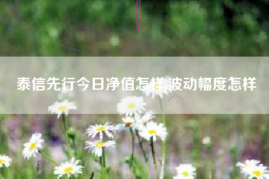 泰信先行今日净值怎样,波动幅度怎样
