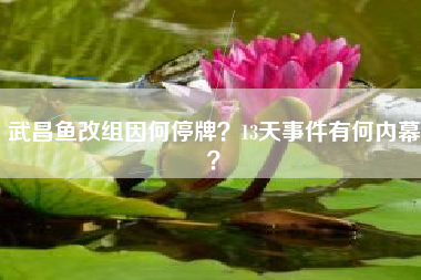 武昌鱼改组因何停牌？13天事件有何内幕？