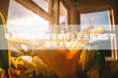 电能股份有新闻发布吗？它近期发生了哪些大事？
