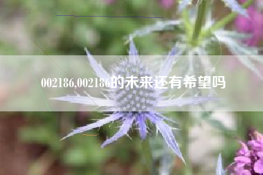 002186,002186的未来还有希望吗