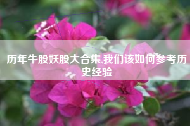 历年牛股妖股大合集,我们该如何参考历史经验