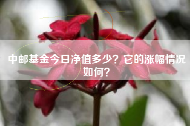 中邮基金今日净值多少？它的涨幅情况如何？