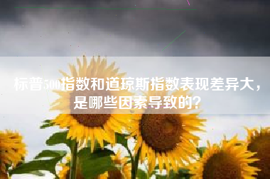 标普500指数和道琼斯指数表现差异大，是哪些因素导致的？