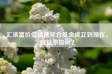 汇添富价值精选混合基金成立到现在，收益率如何？