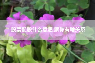 股票配股什么意思,跟你有啥关系