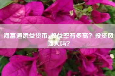 海富通添益货币a收益率有多高？投资风险大吗？