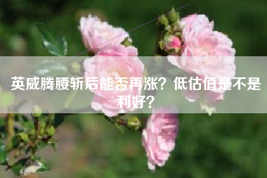 英威腾腰斩后能否再涨？低估值是不是利好？