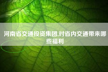 河南省交通投资集团,对省内交通带来哪些福利