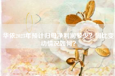 华依2023年预计归母净利润多少？同比变动情况如何？
