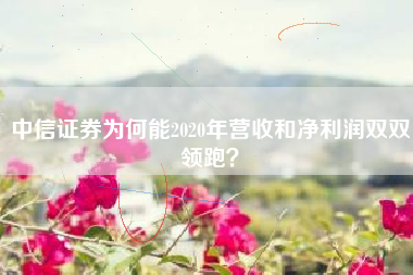 中信证券为何能2020年营收和净利润双双领跑？